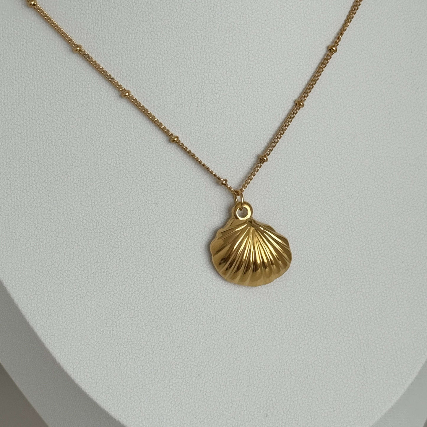 Gold Seashell Pendant Necklace by Kataleya