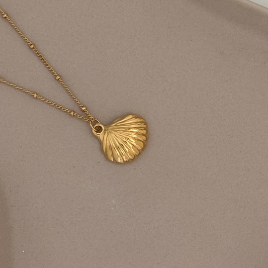 Seashell Pendant Necklace